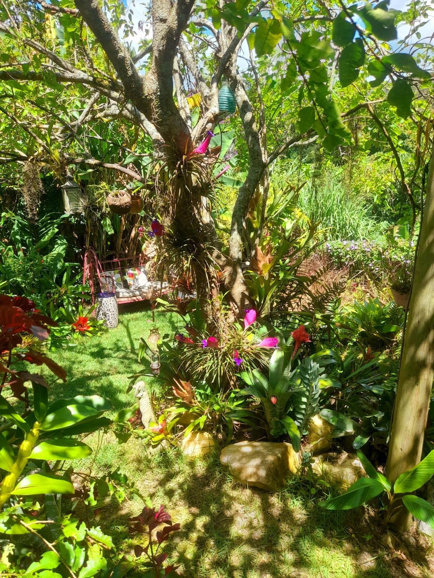 Casa De Vidro Apartment Petropolis  Bagian luar foto